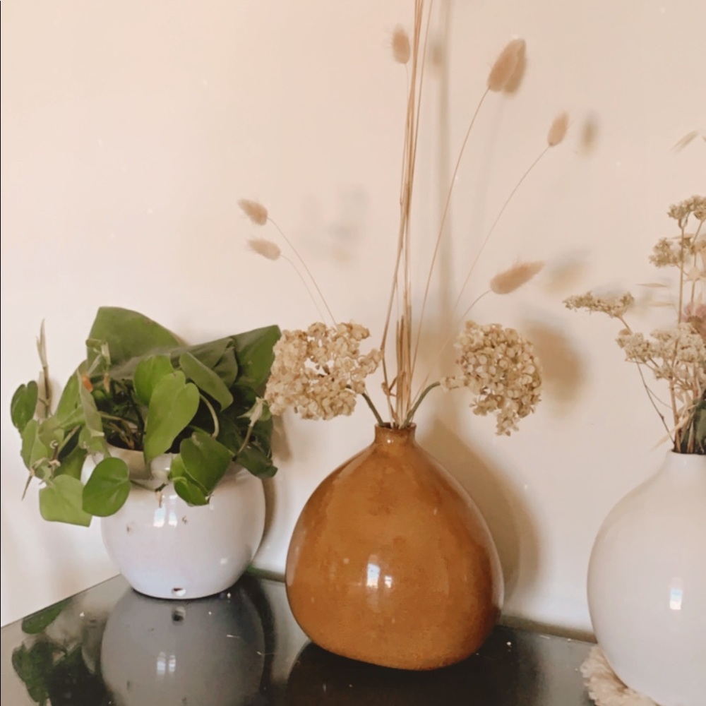 Small Brown Vase